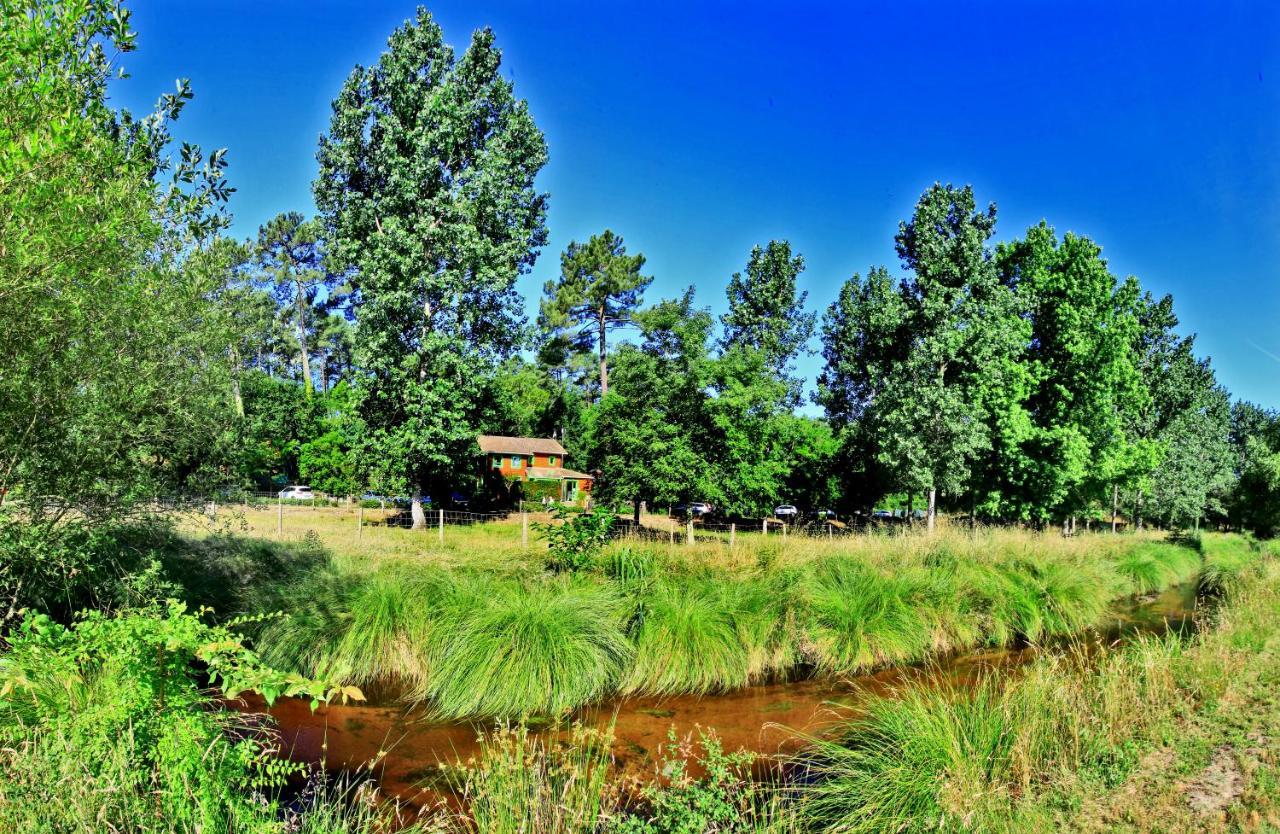 Village Nature Et Ocean A Cote De La Plage Avec Piscine Et Jacuzzi Messanges  Luaran gambar