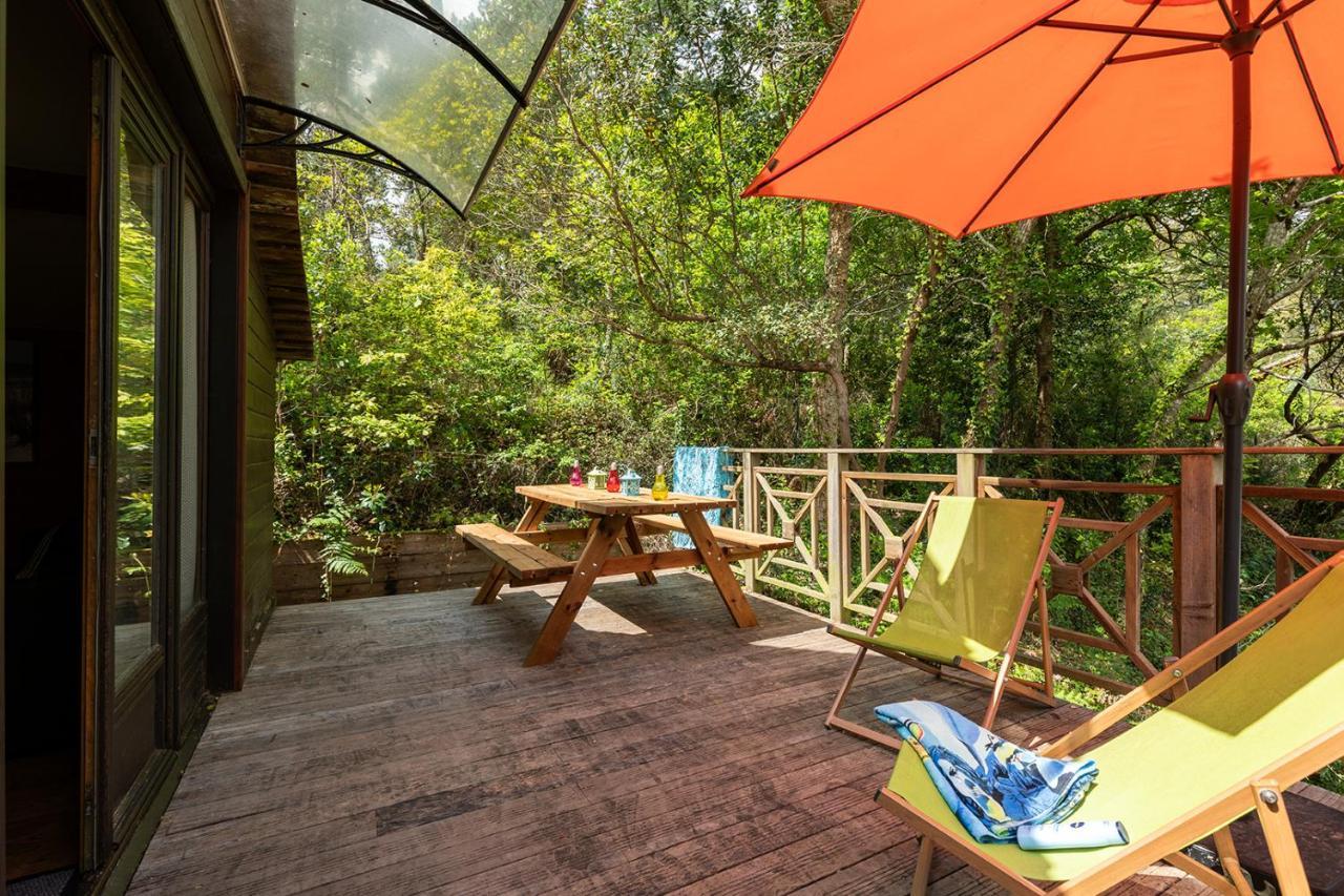 Village Nature Et Ocean A Cote De La Plage Avec Piscine Et Jacuzzi Messanges  Luaran gambar